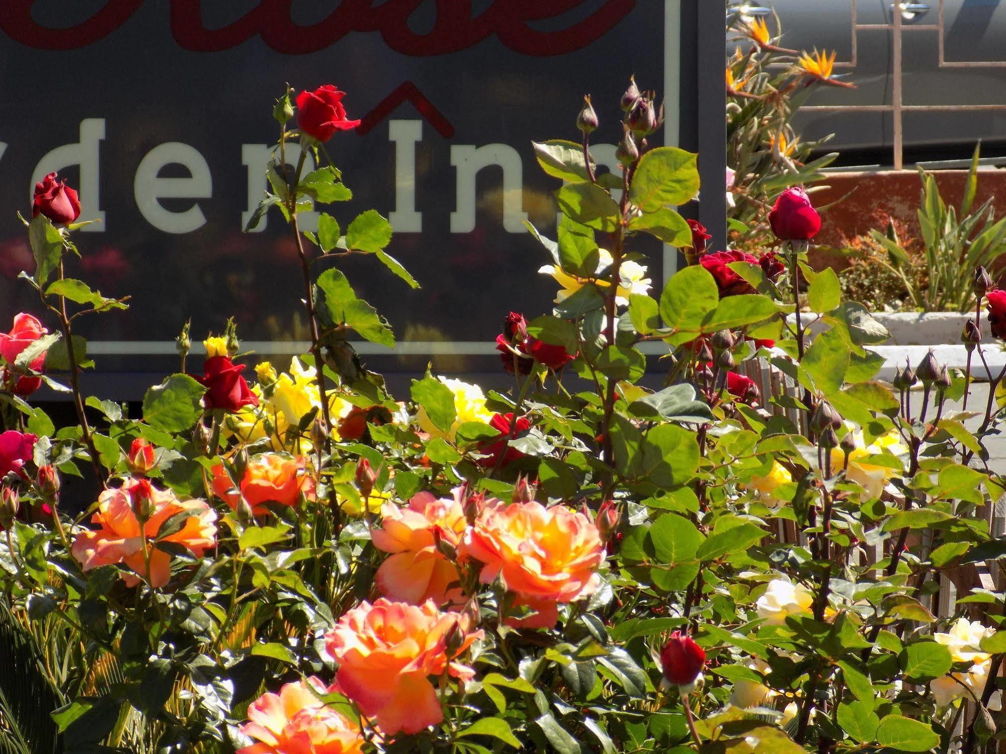 Rose Garden Inn Santa Barbara Eksteriør billede