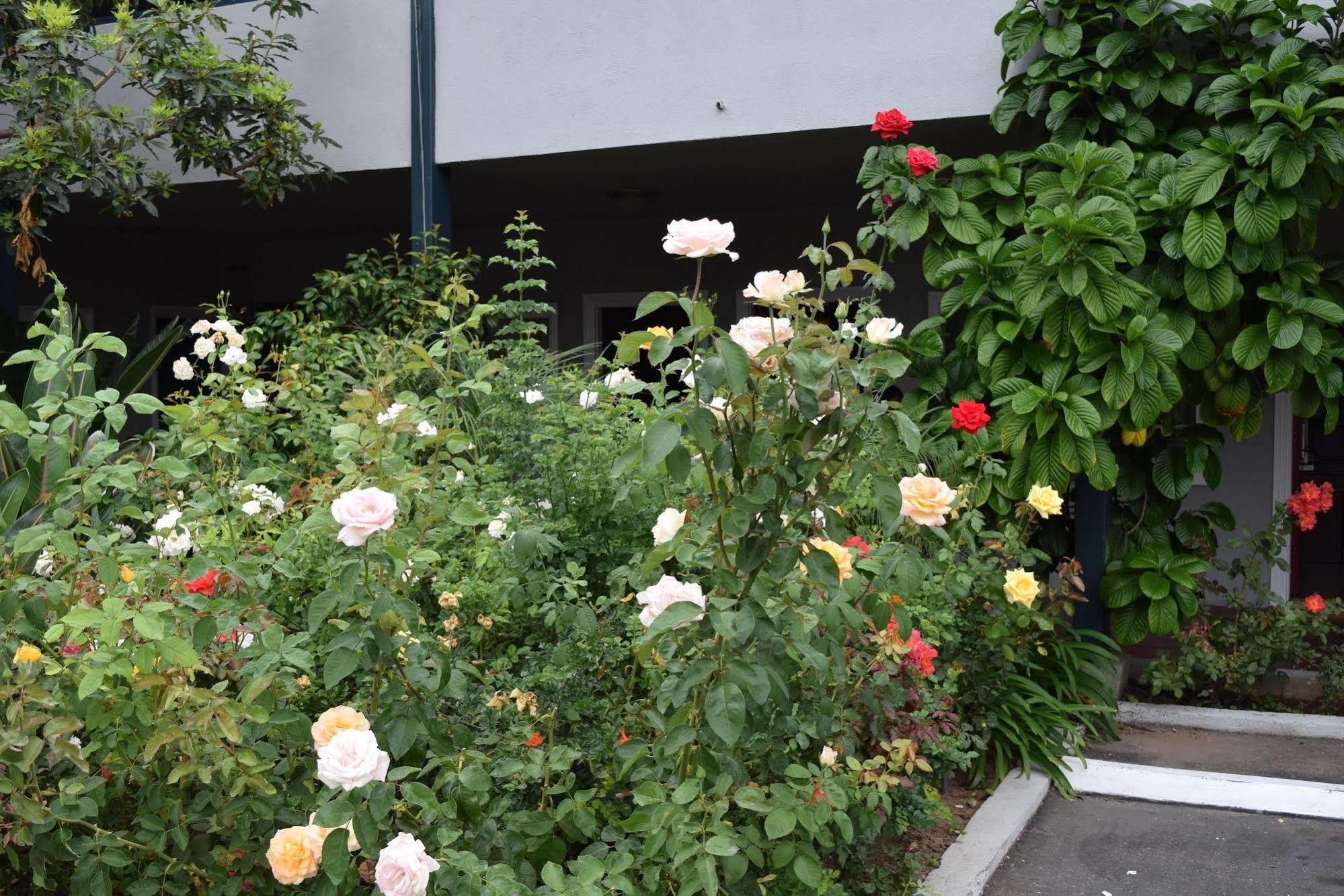 Rose Garden Inn Santa Barbara Eksteriør billede